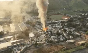 ¿Cuánto vale Tocorón?