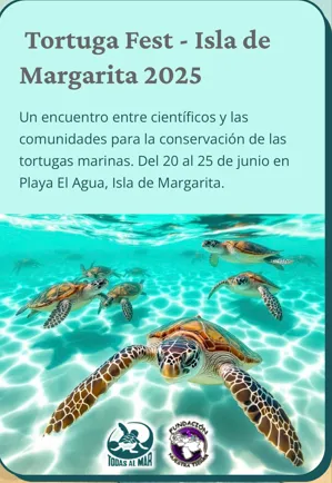 tortuga fest
