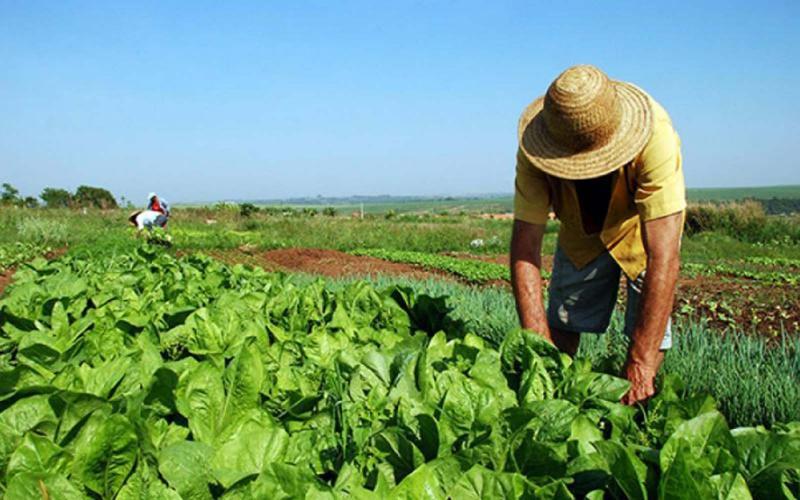 AVAT insta a los productores agrícolas incorporar la tecnología