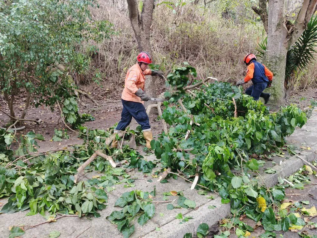 Equipo del plan de prevención del municipio El Hatillo