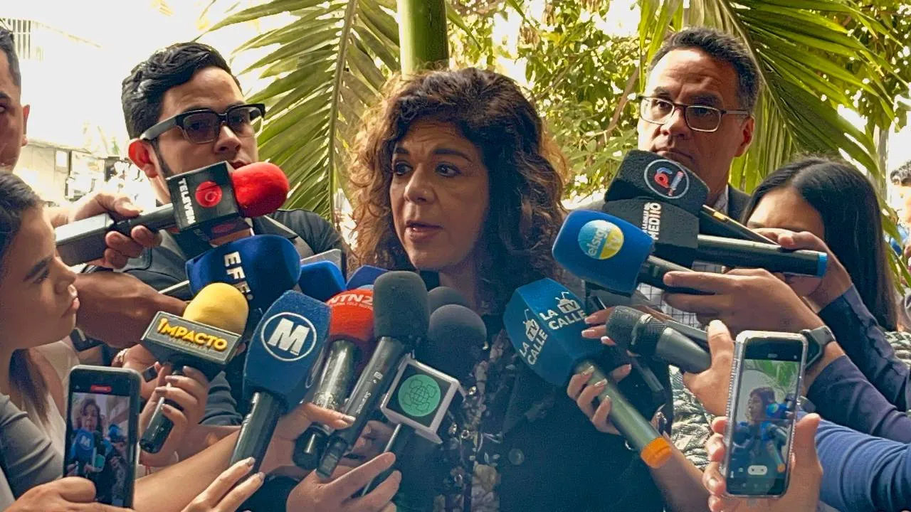 Theresly Malavé, abogada dela activista de derechos humanos Rocío San Miguel. Foto: José Mireles Alcalá / ElMartilloVen