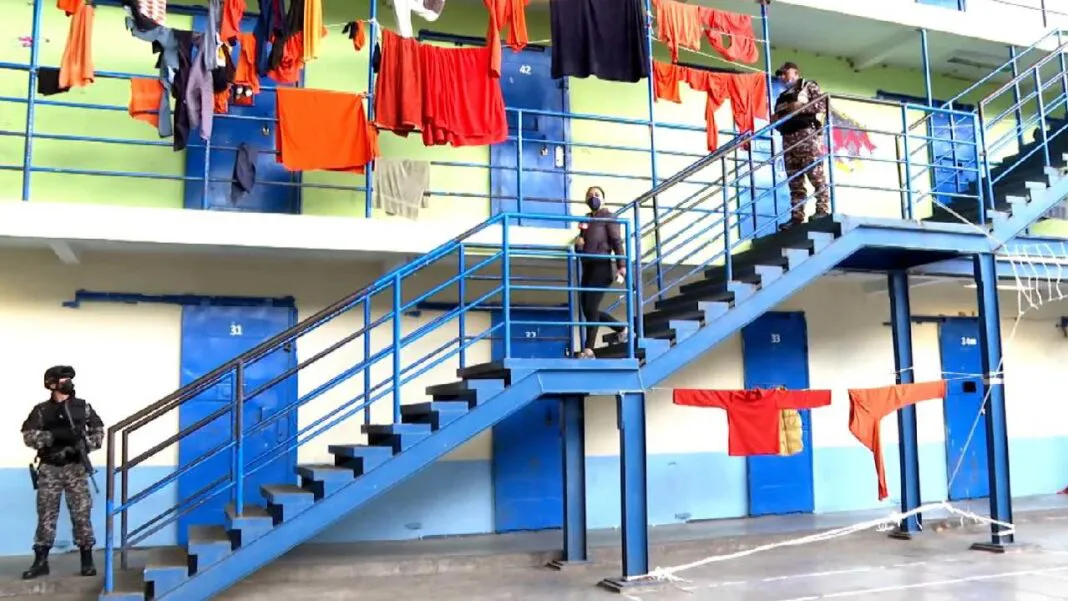 Proyecto-nuevo-2025-11-25T083226.530-1068x601