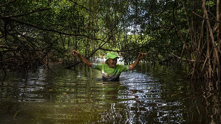 Laguna La Reina, Higuerote, estado Miranda