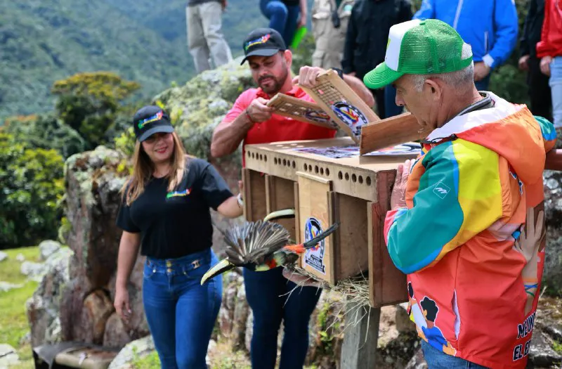 22 aves liberadas en Táchira para reforzar biodiversidad y proteger especies en peligro