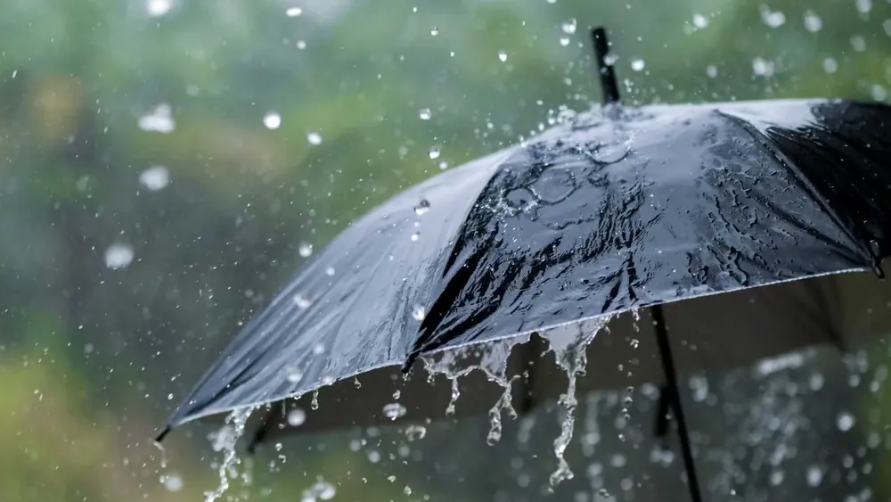Lluvias 