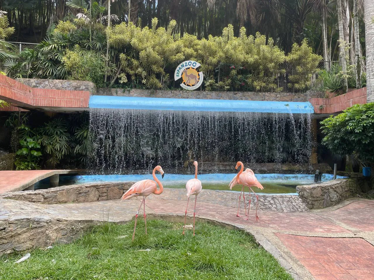 Zoologico Expanzoo