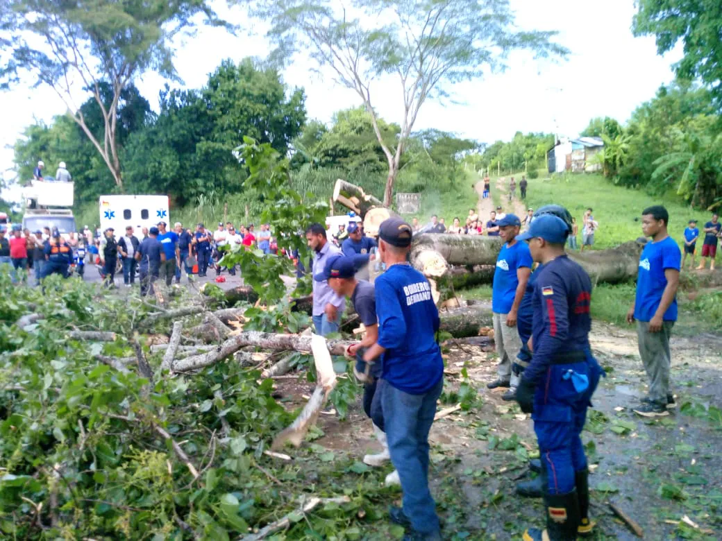 Onda Tropical N28 causó afectaciones en Paz Castillo