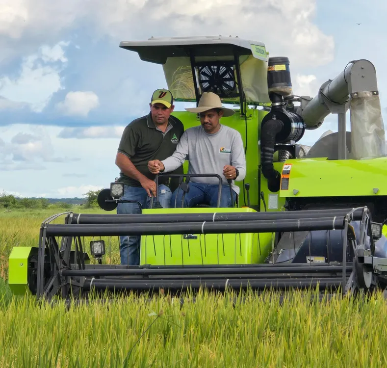 Siembra de Arroz, Apure.
