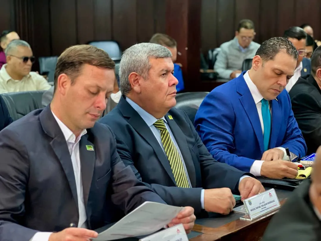 Diputados del partido Copei