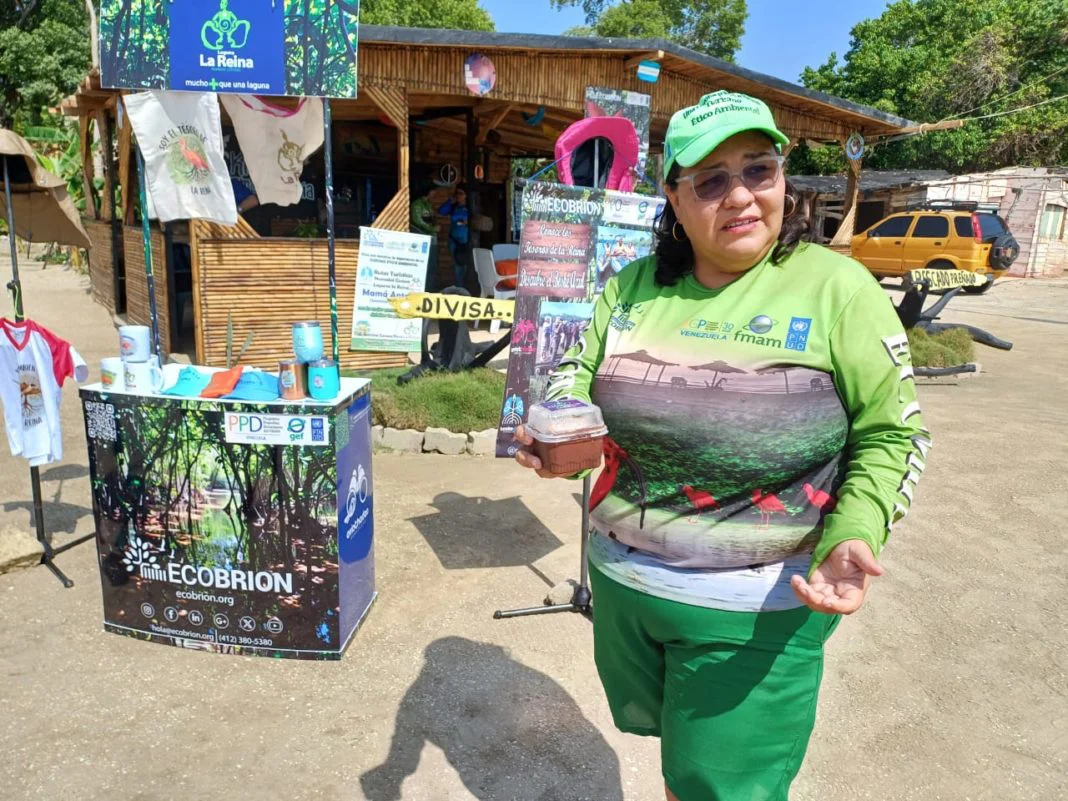 Ecobrión coordinará la limpieza de 15 playas y tres ríos en el estado Miranda por el Día Mundial de las Playas 2026