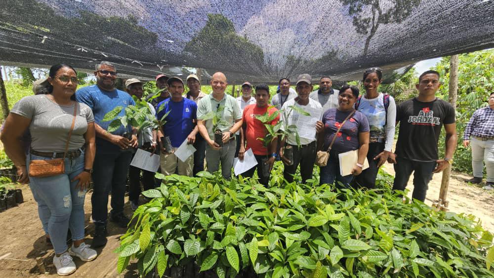 Entregan 1.800 plantas de Cacao en Vivero Artesanal en Mamporal