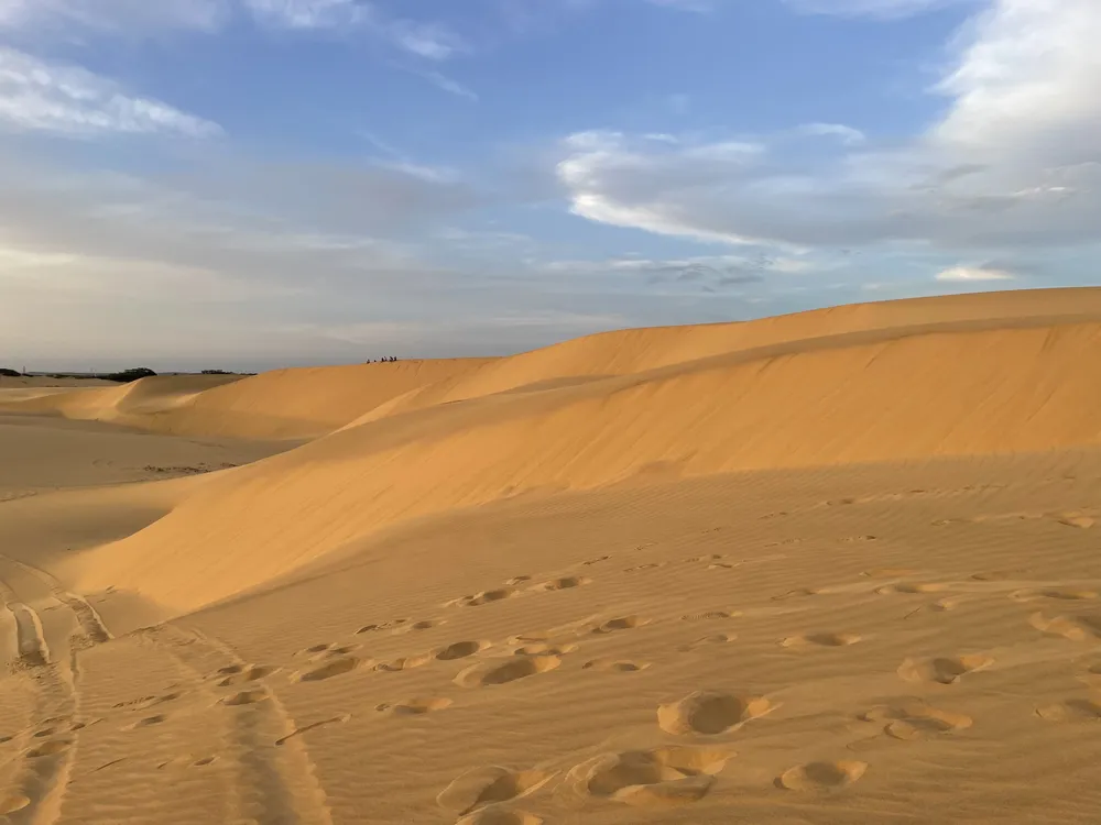 Desierto de los Medanos de Coro. Foto: Luisana Segovia / ElMartilloVen