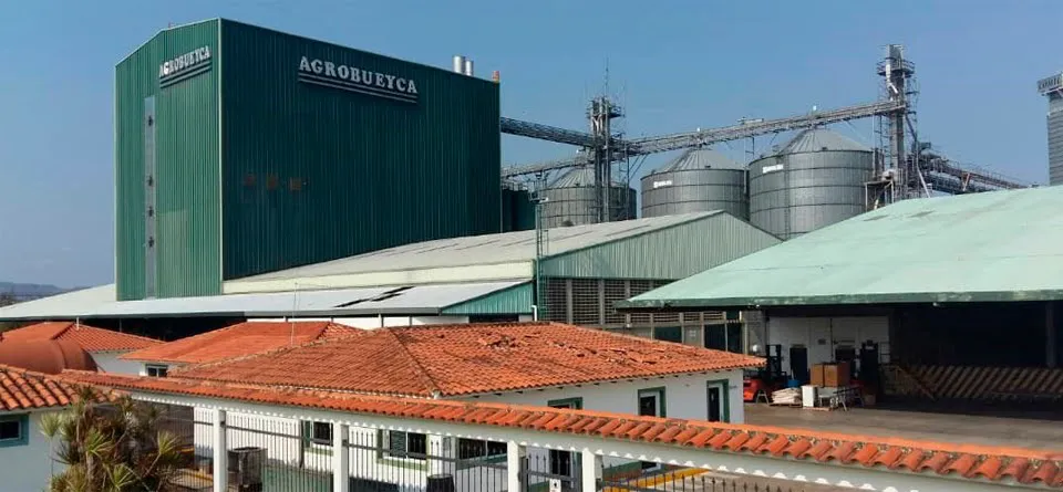 Agrobueyca.